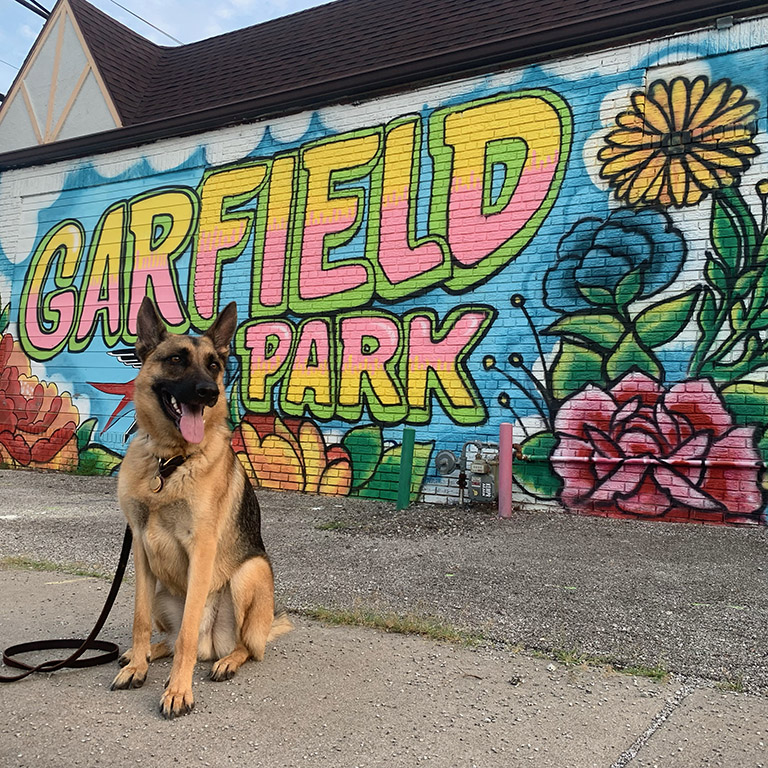 A German Shepherd sits in front of the Garfield Park mural at Ceremony Tattoo
