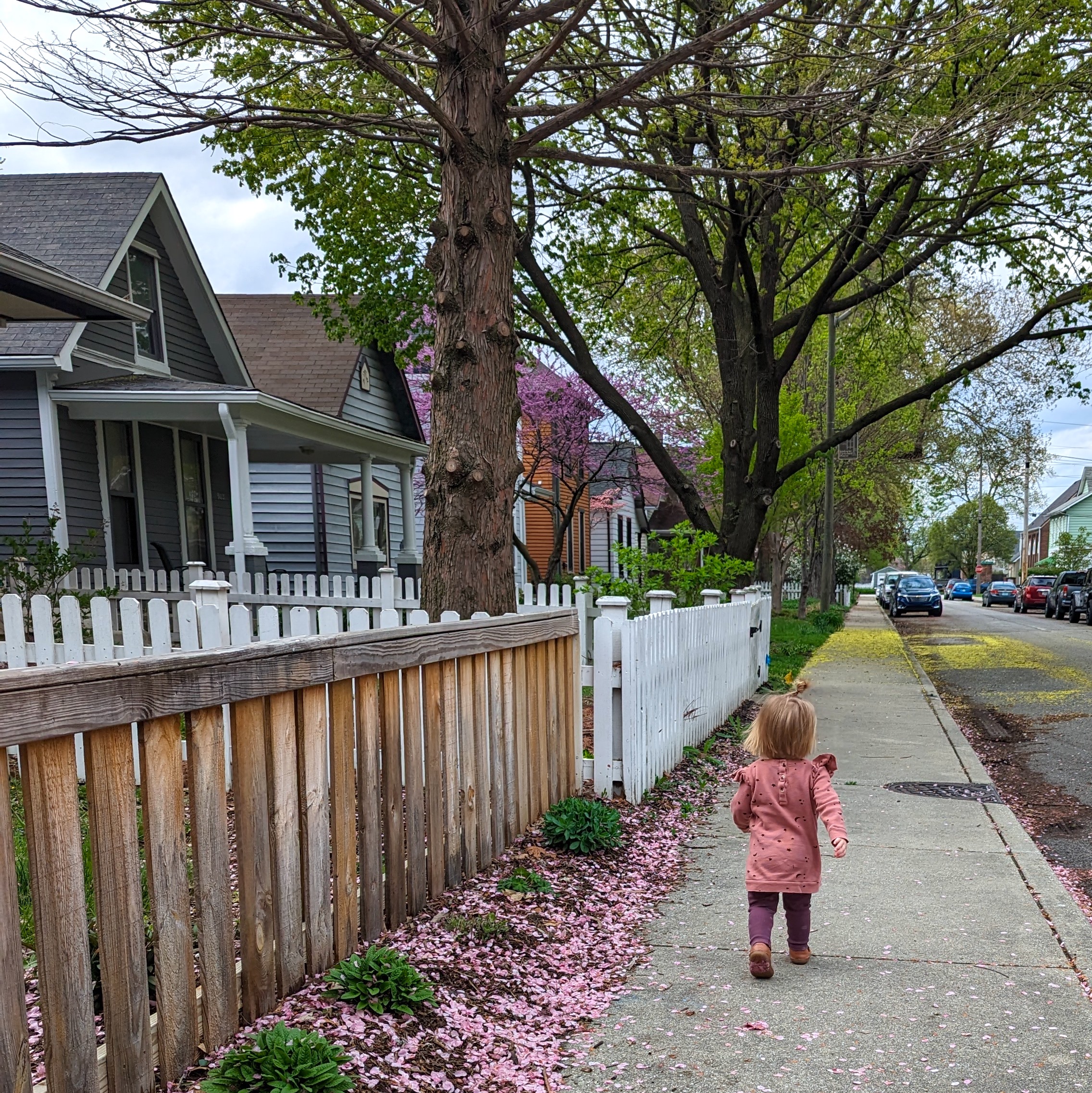 Walking in Spring Little girl running around flowering trees