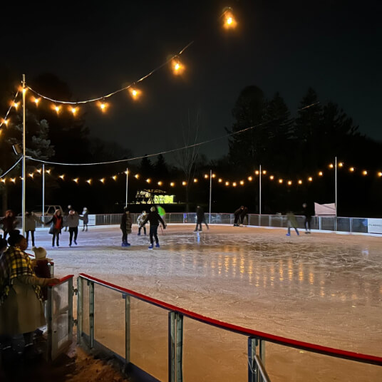 Holliday Park Ice Skating