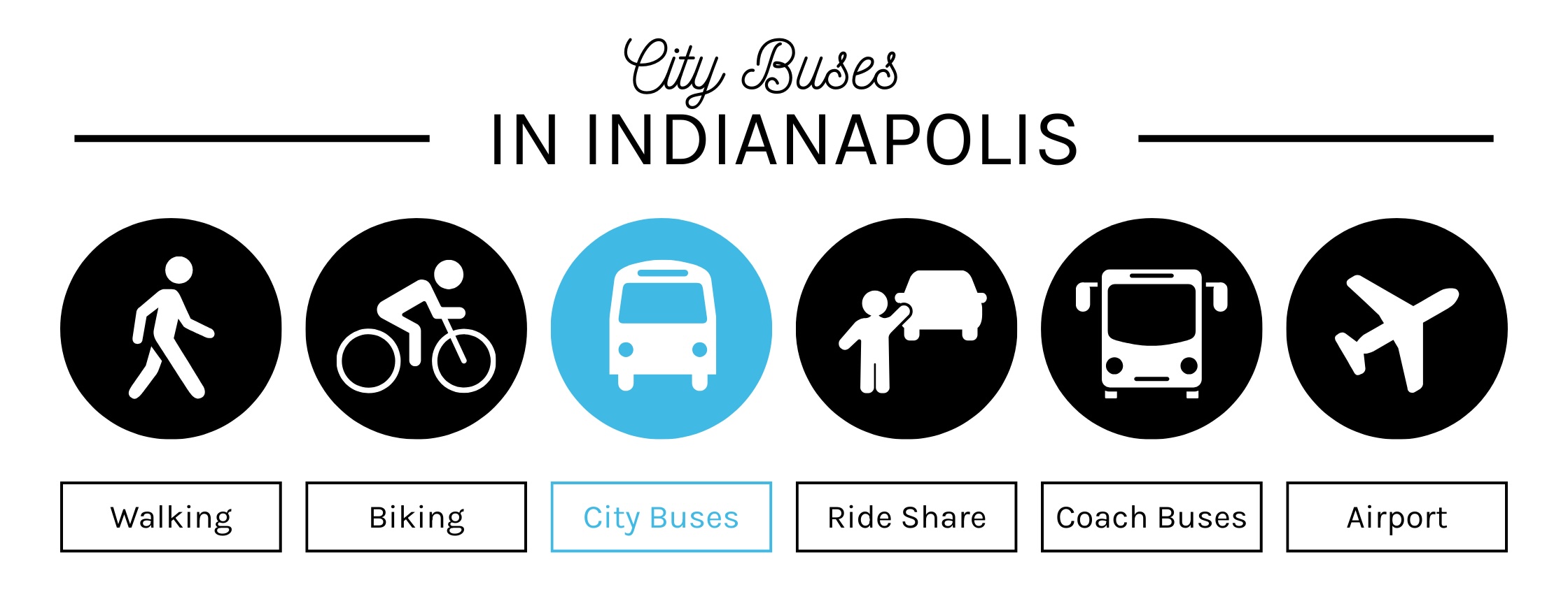 City Buses in Indianapolis